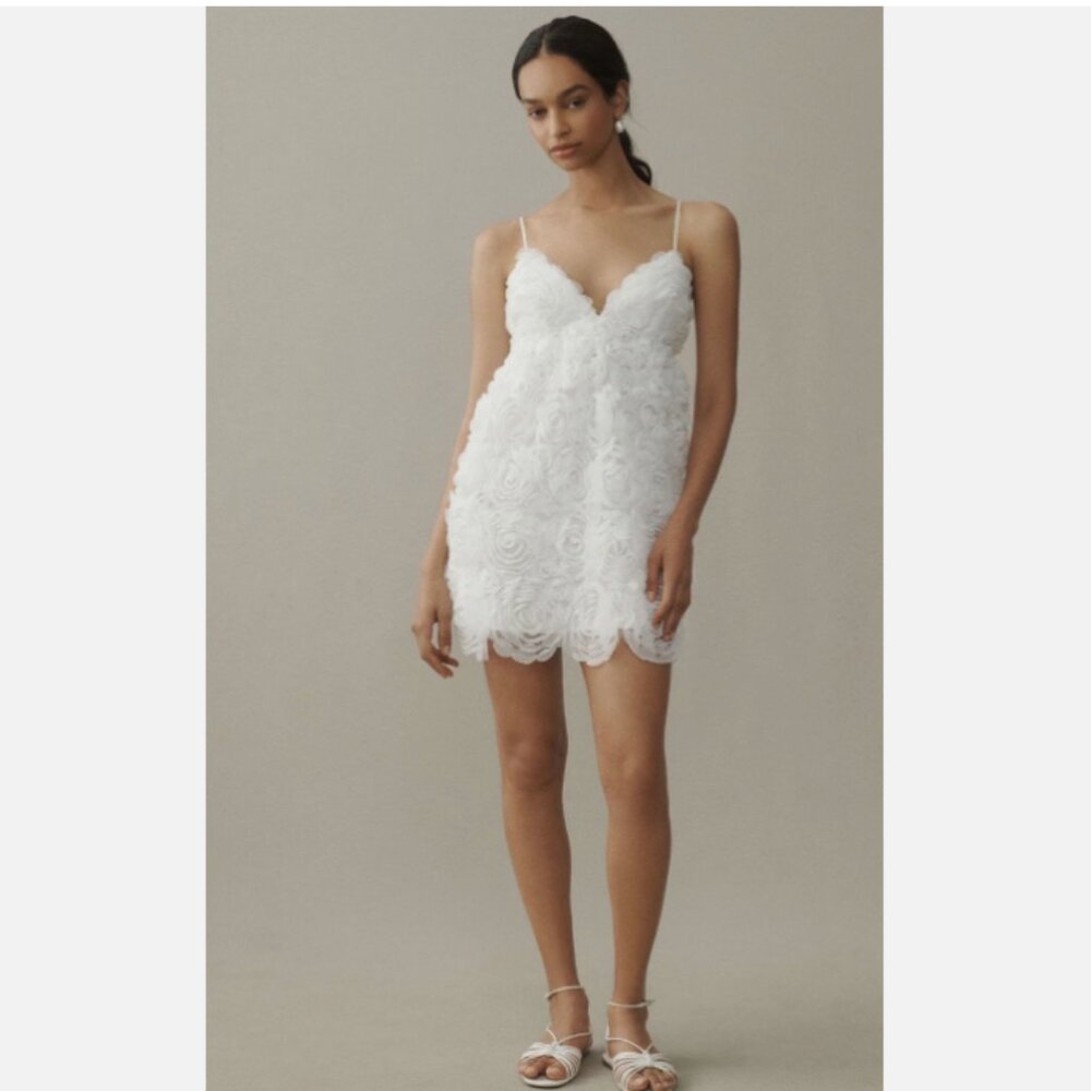 Brand New Anthropologie BHLDN V-Neck Tulle Rosette Mini Dress - Picture 3 of 12